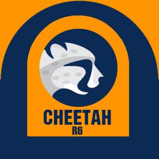 Cheetah Tram