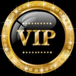 موسسه حقوقی بین المللی vipvisagroup