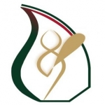 پهلوان شو