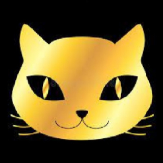 Golden-Cat Player | درباره کانال