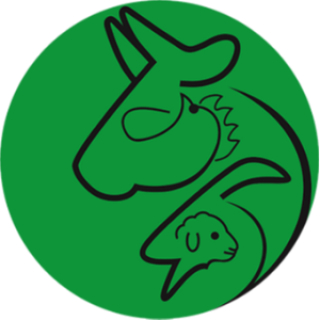 www.modiredam.com