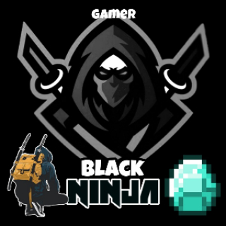 Black ninja 1364
