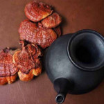 Ganoderma.drensan