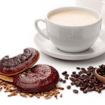 Ganoderma.dr.adine