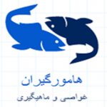هامورگیران