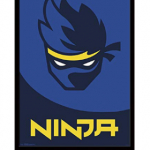 Ninja (fortnite)