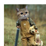 funny_Bax