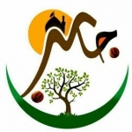 جاسبی ها