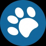 باران پت
