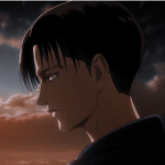 LEVi_FF