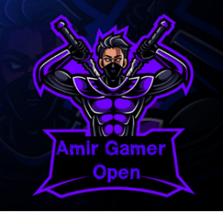 Amir Gamer Open