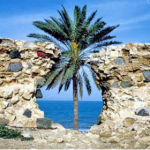 تصویر منتشرکننده