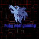 pubg wolf gaming