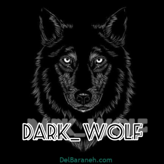 DARK_ WOLF_ 2