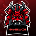KING - NINJA - ZM