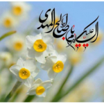 نصف مال من نصف مال تو