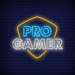 Amir.pro.gamer