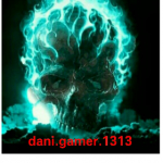 dani. gamer. 1313