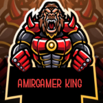 amirgamer - king