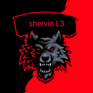 Shervin L3